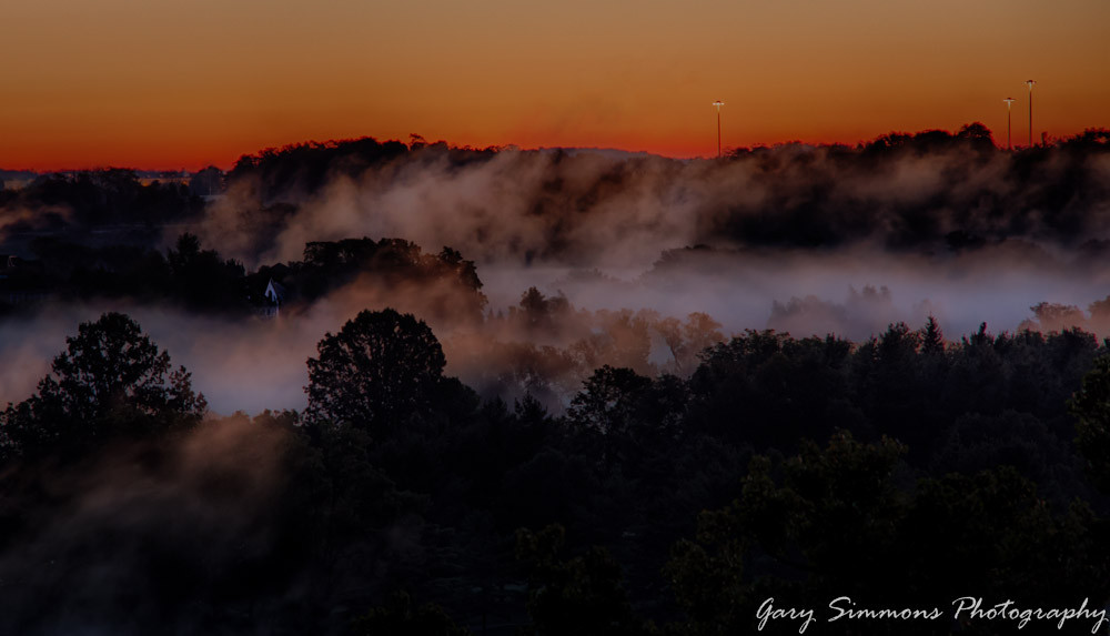Fog on the River by Gary Simmons