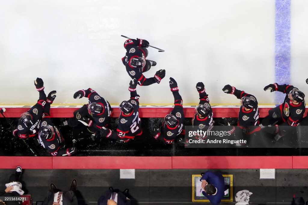 1 2025 365 | Photography and video news, reviews and tips | Henry's Camera Ice hockey players in black and red uniforms celebrate along the boards, one player leaping mid-air while teammates raise their fists in celebration.