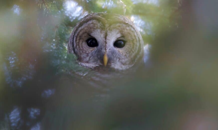 653834539_18572613316046168_741132314874441215_n | Photography and video news, reviews and tips | Henry's Camera