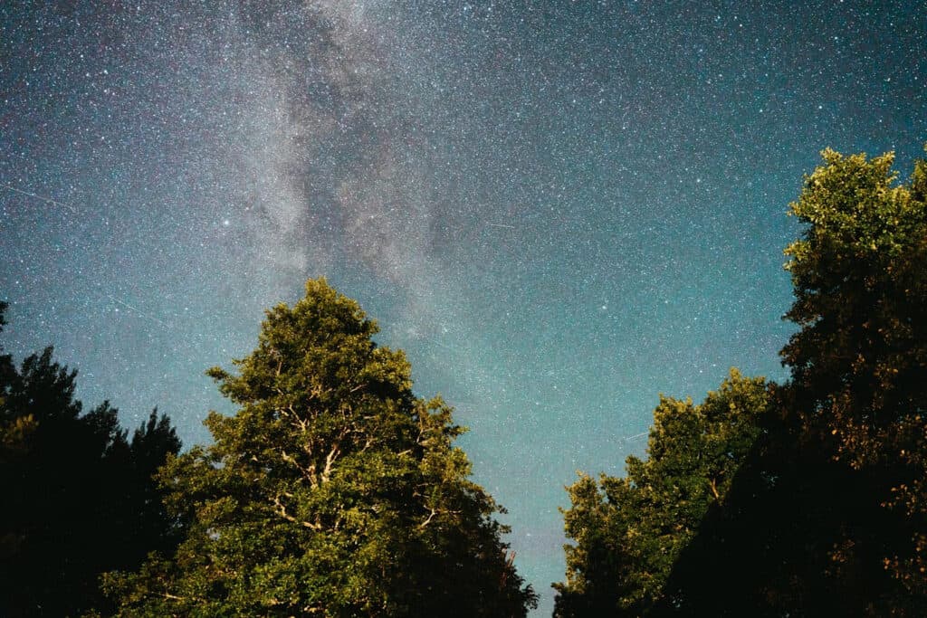 Astrophotography | Photography and video news, reviews and tips | Henry's Camera astrophotography events in August