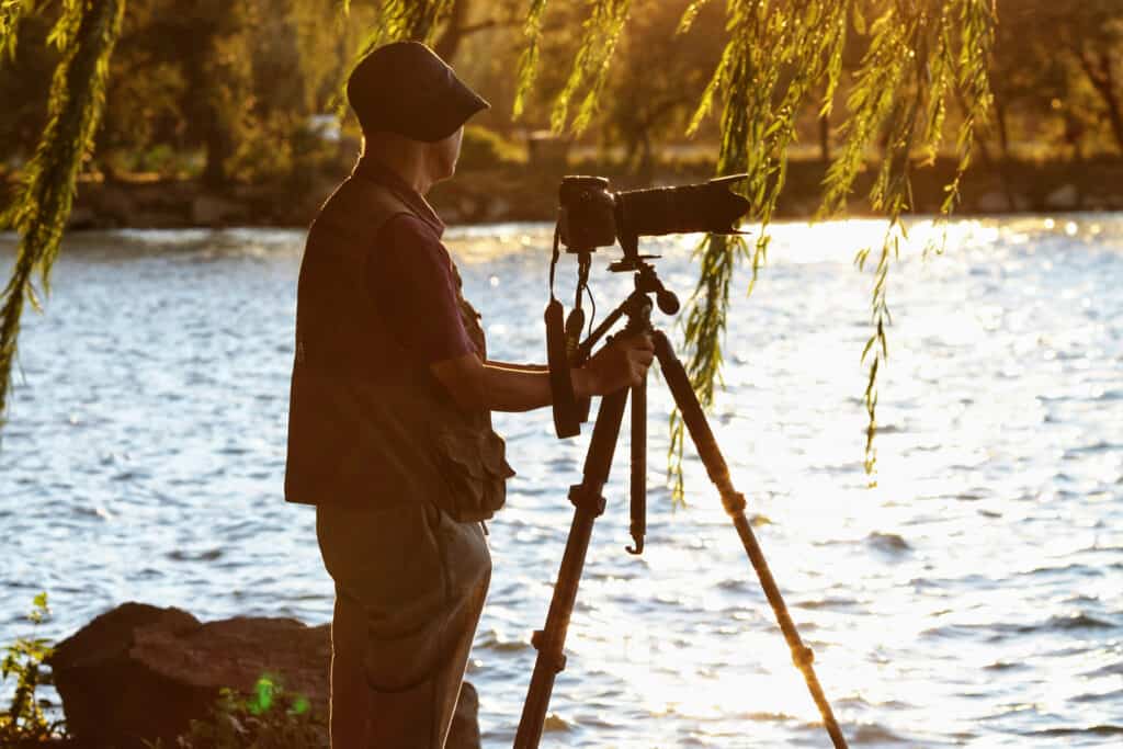 Choosing a Tripod for Bird Photography