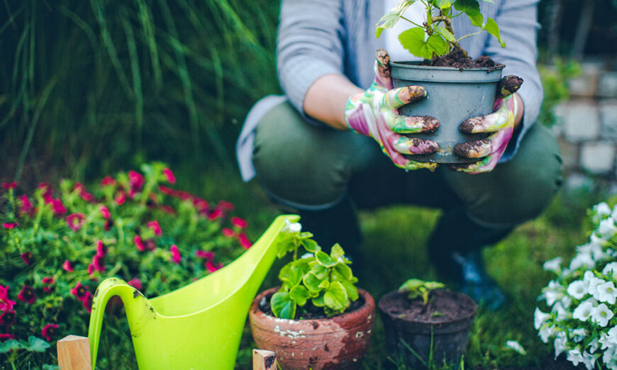 Lady holding plant in a pot in an outdoor garden