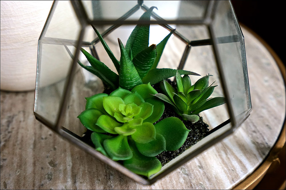 Small plant of coffee table in a fancy vase