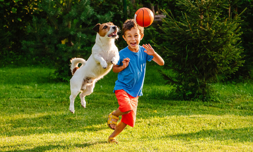 Little boy and his dog playing in their backyard