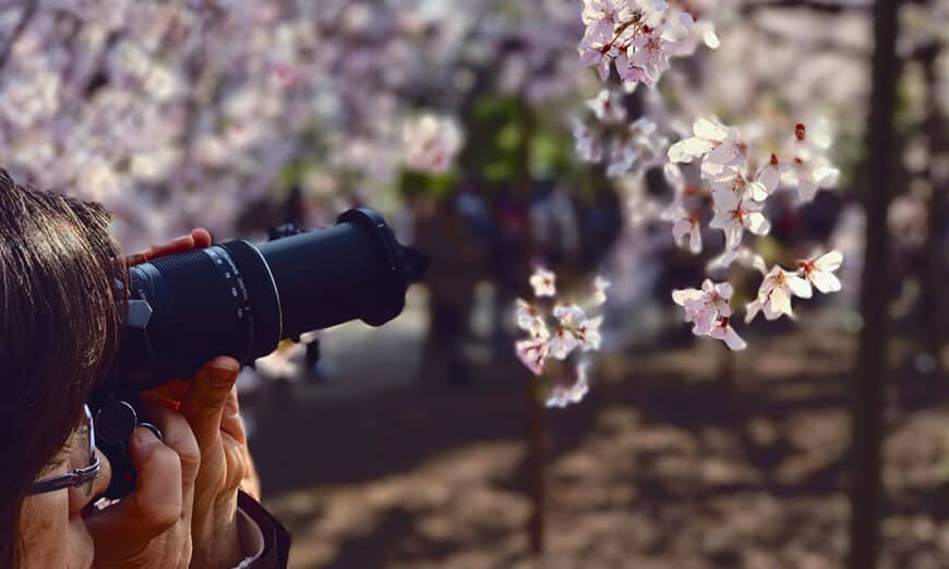 Photographer using macro lens to photograph flower