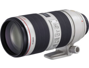 Canon-70-200mm Lens