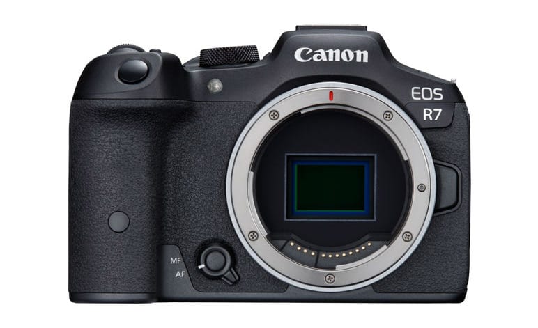 Canon R7 for Bird Photography