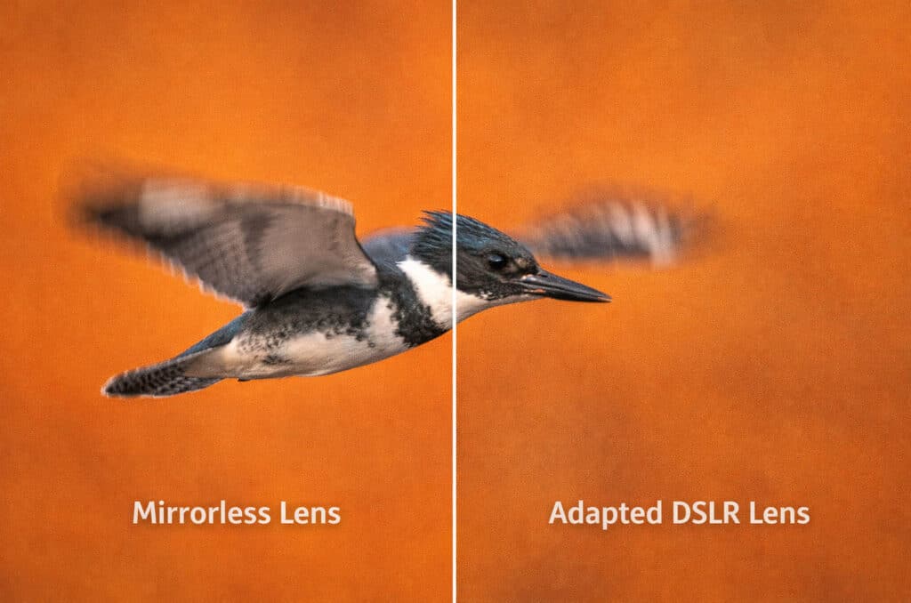 Start Here: Moving to Mirrorless — What to Do with Your Lenses: Lens Adapters