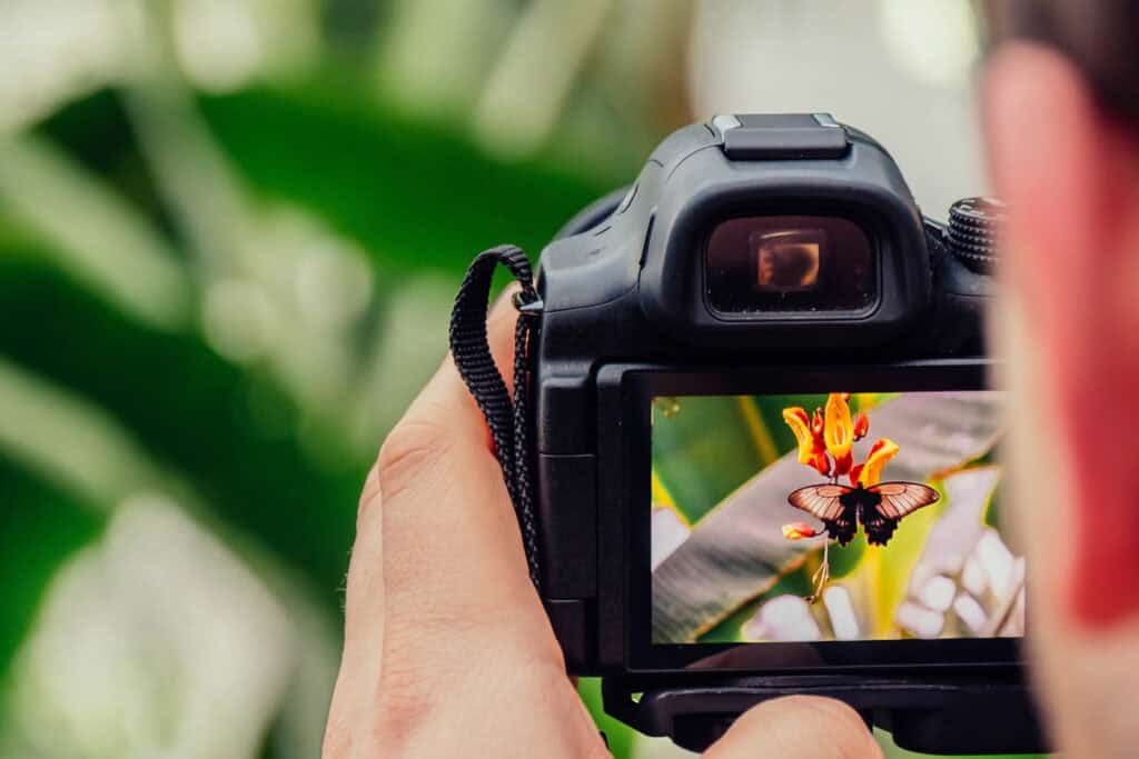 Best Entry-Level DSLR Cameras