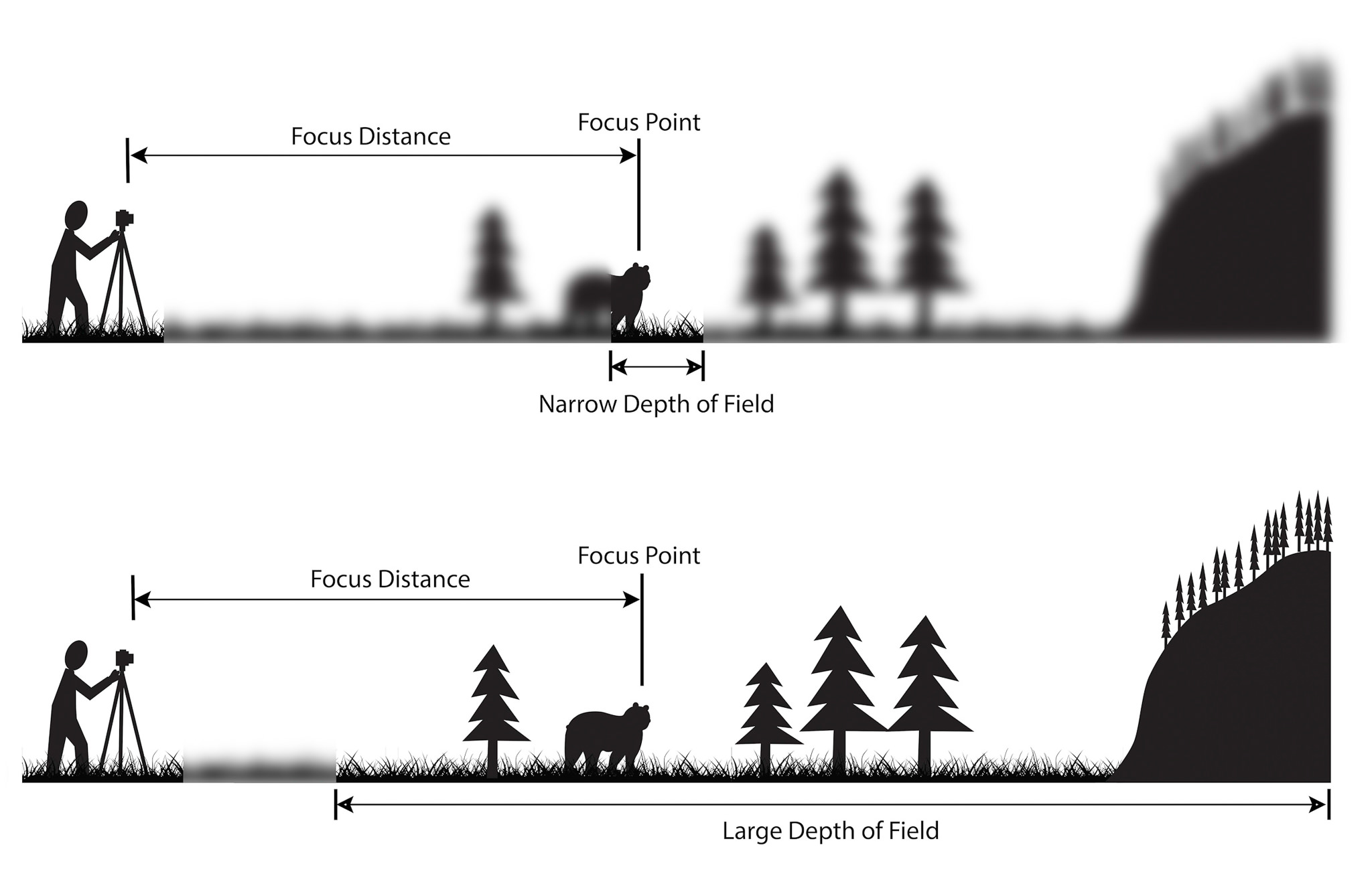 Depth of Field - Figure 1