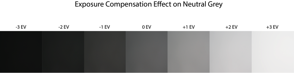 Exposure Compensation Effect on Neutral Grey