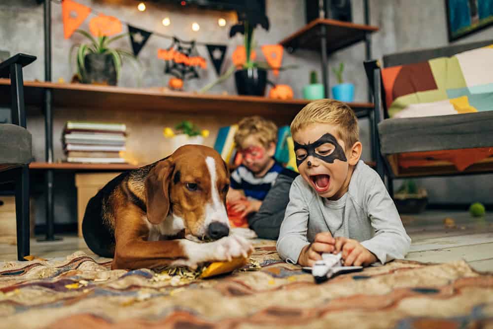 Boy & dog carving pumpkin