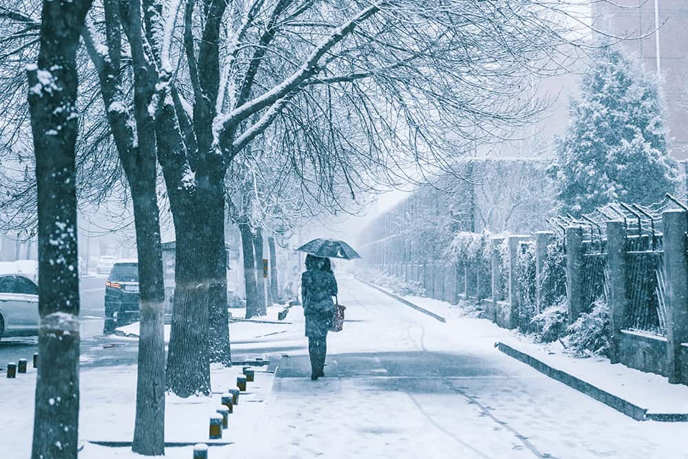 Woman walking a sidewalk holding an umbrella while it's snowing