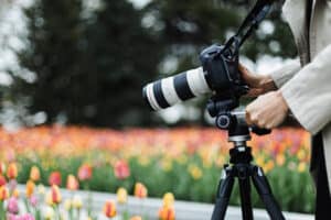 Camera, lens, and tripod setup for photographing flowers