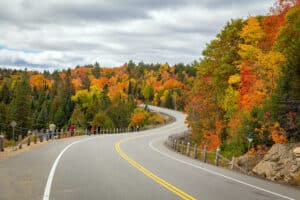 Trees in Autumn, winding road, grey skies