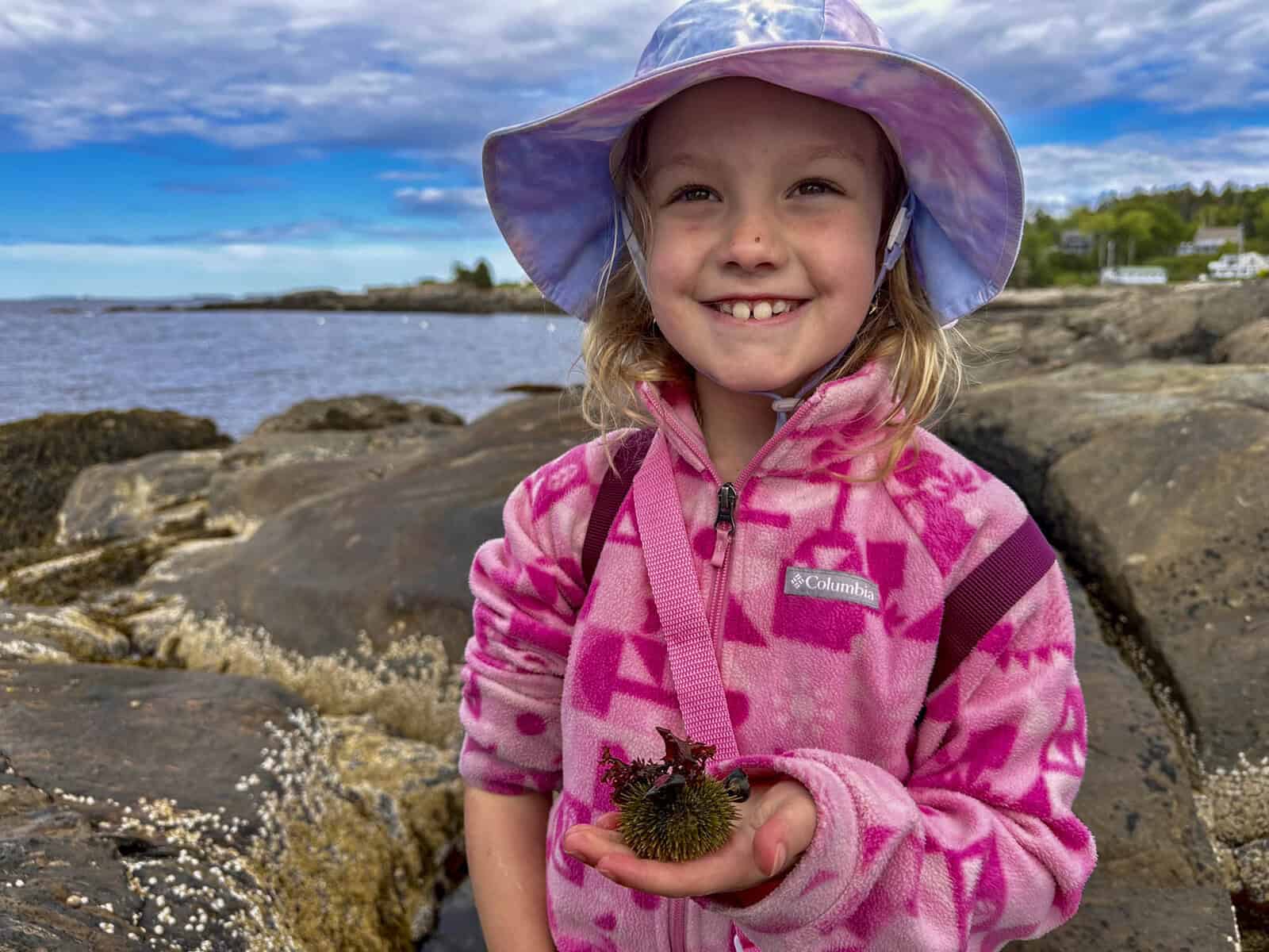 A Family Travel Photojournalism Adventure Family Tidepooling