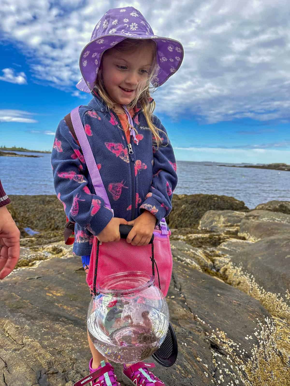 A Family Travel Photojournalism Adventure Family Tidepooling