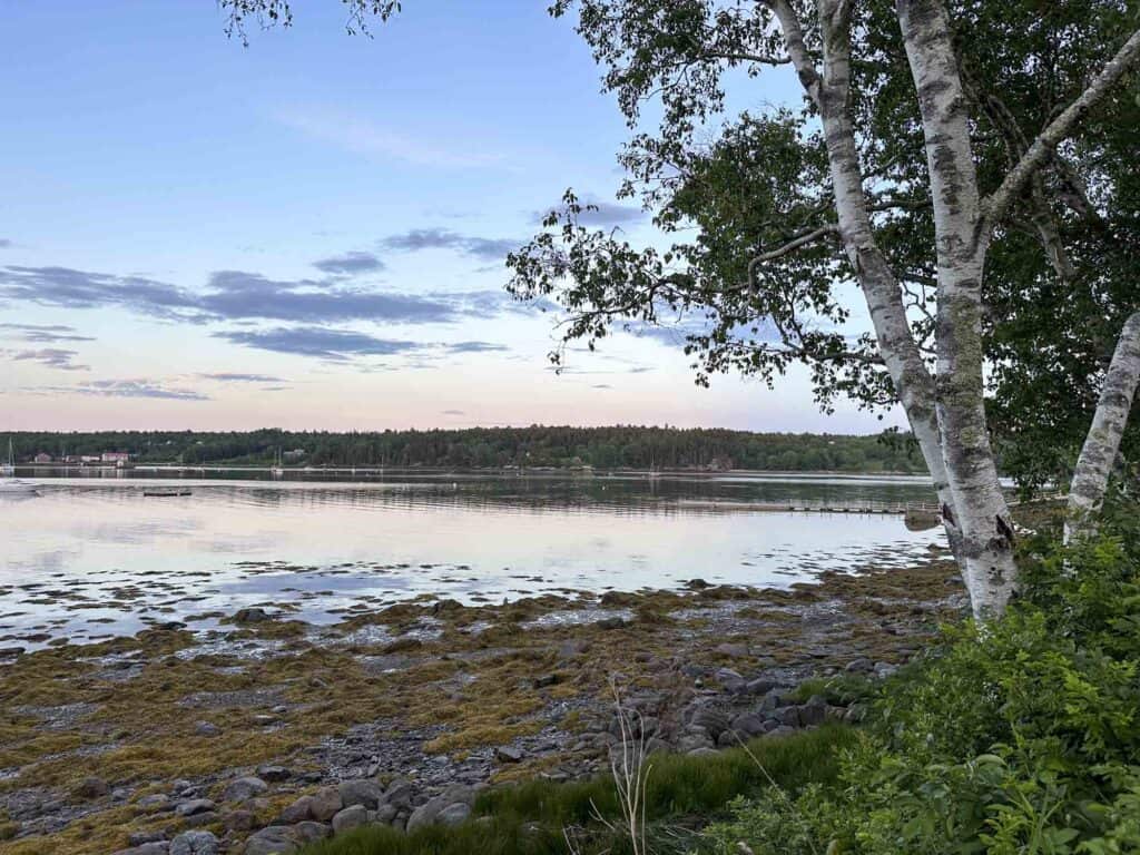 Capturing Maine: A Family Travel Photojournalism Adventure Air Bnb Views