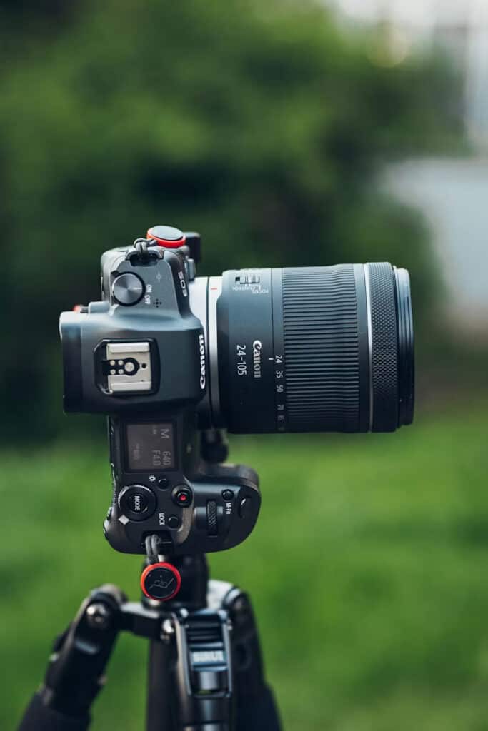 Macro Photography Starts Here: Essential Tools for Precision and Detail