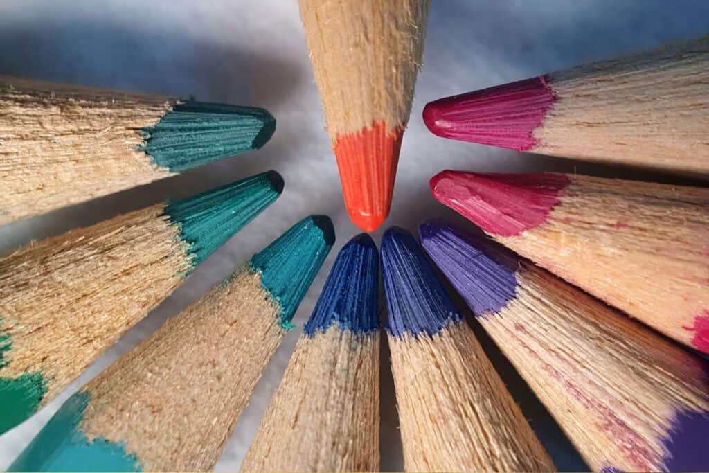 Macro Photography Starts Here: Essential Tools for Precision and Detail