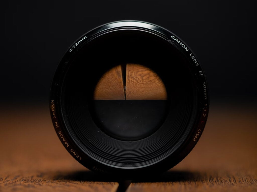 Detailed Macrophotography Guide - Macro lenses, macrophotography lenses