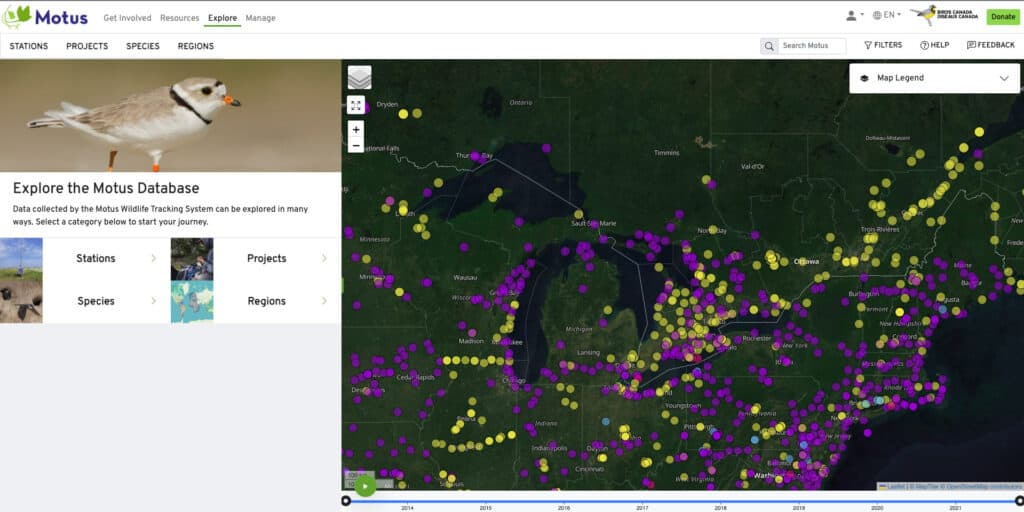 Birding season is coming: get ready for Ontario’s spring migration with the right Camera Gear