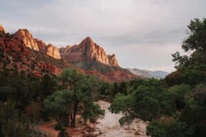 Mountains And Trees