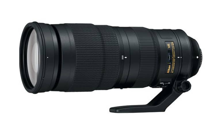 Nikon Nikkor Lens for Bird Photography