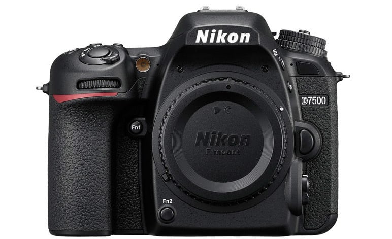 Nikon D7500 for Bird Photography