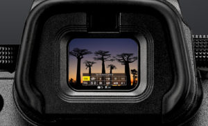 Nikon Z 6 Viewfinder Icon Display