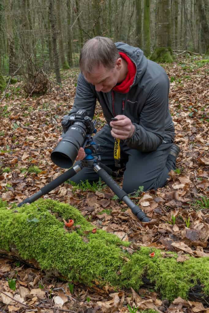 Macro Photography Starts Here: Essential Tools for Precision and Detail