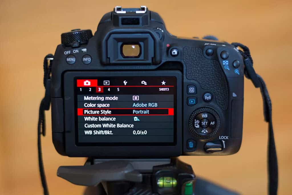 Portrait Photography camera settings