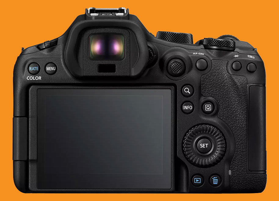 Canon EOS R8 Mark II vs EOS R6 Mark III