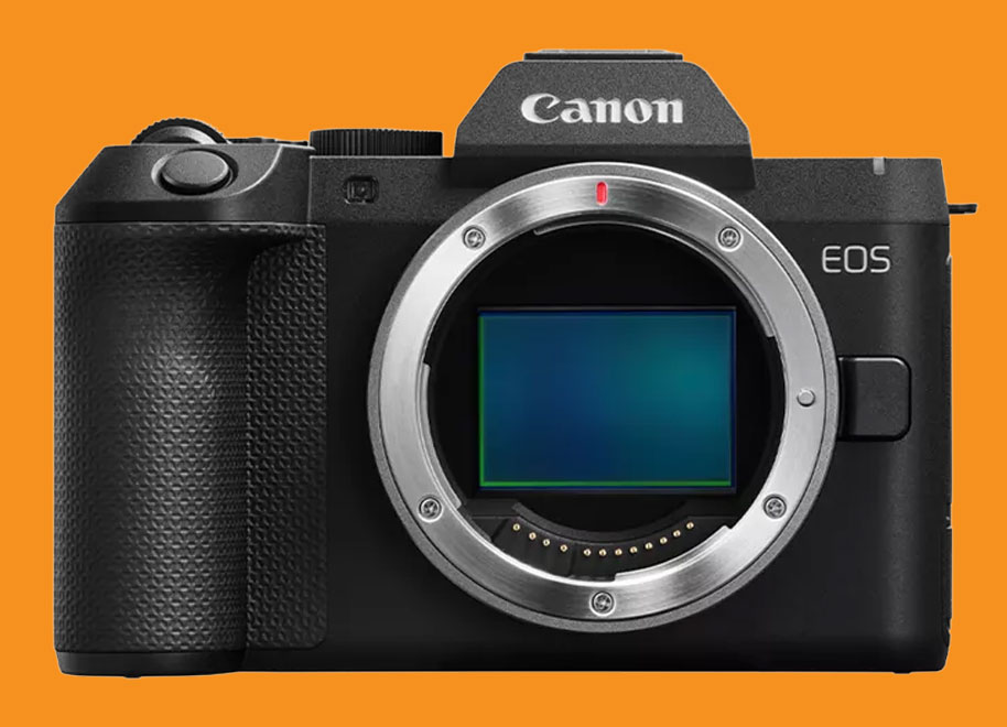 Canon EOS R8 Mark II vs EOS R6 Mark III