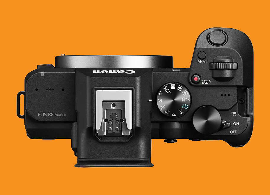 Canon EOS R8 Mark II vs EOS R6 Mark III