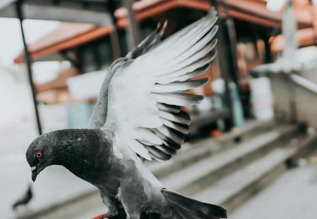 Start Here: Street Photography Tips, Tricks and Gear