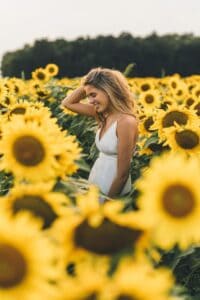 Sunflower Field