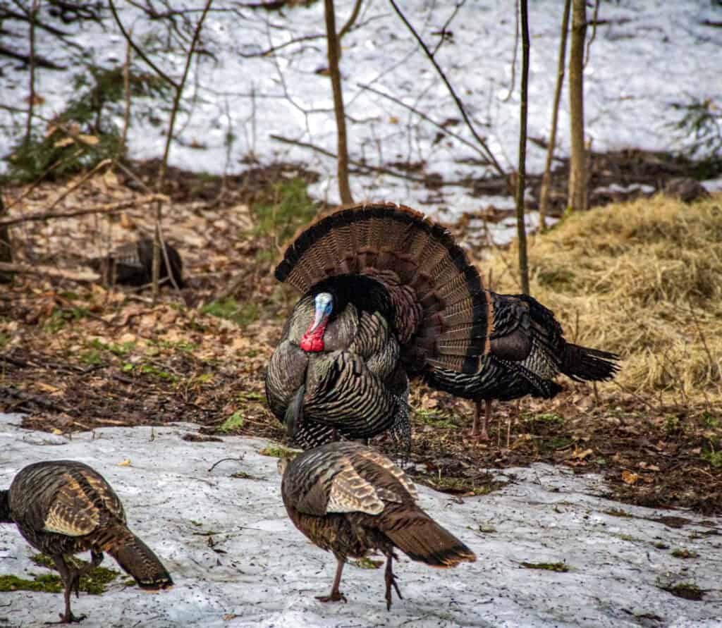 Turkey | Photography and video news, reviews and tips | Henry's Camera