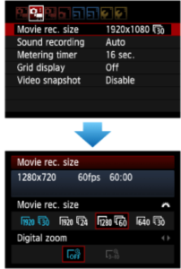 Video Basics: Video Menu Options (Canon Example)