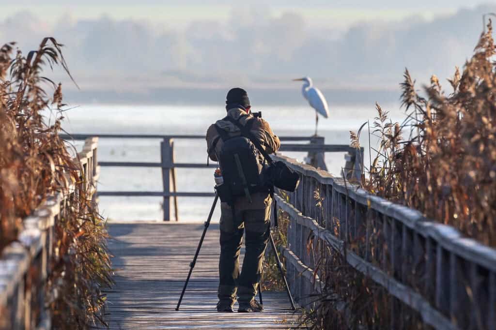 Wildlife Photography Camera Recommendations