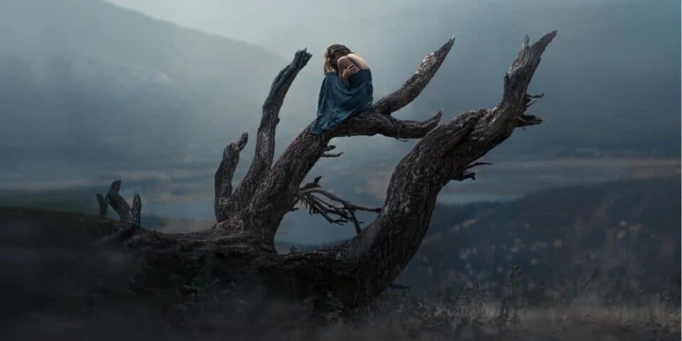 Woman On A Dead Tree