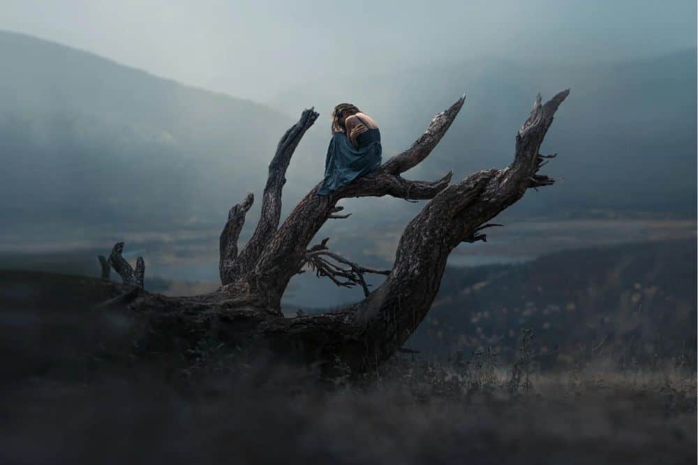 Woman On A Dead Tree