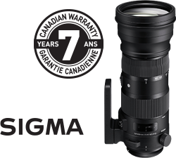Sigma 150-600mm Sport Lens