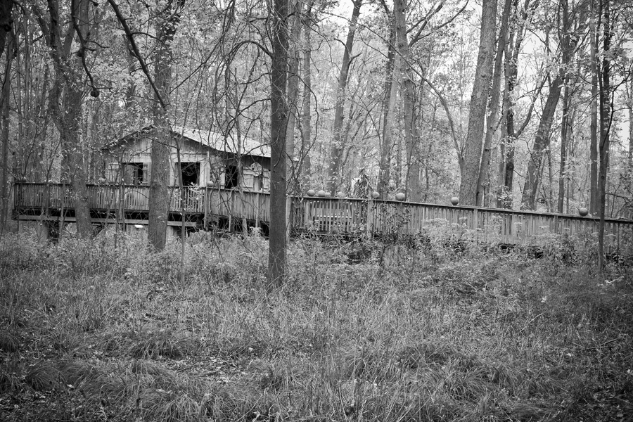 Barn in the Forest - Mike Sansano