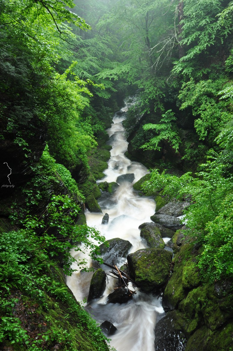 Bushkill Falls by Shahul Hameed Akbar