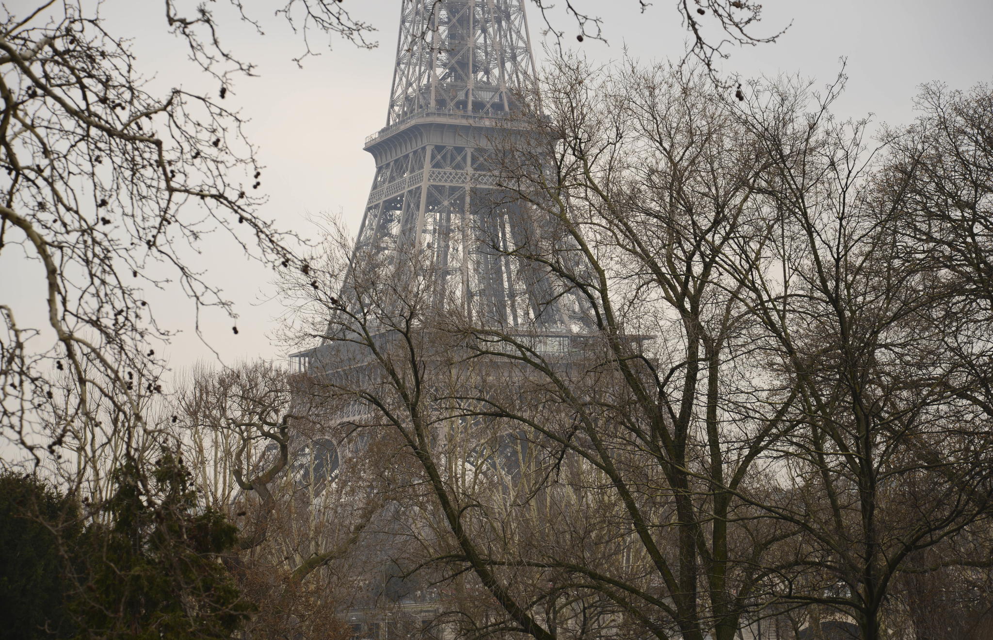 Paris in the Springtime by Deborah Crawford