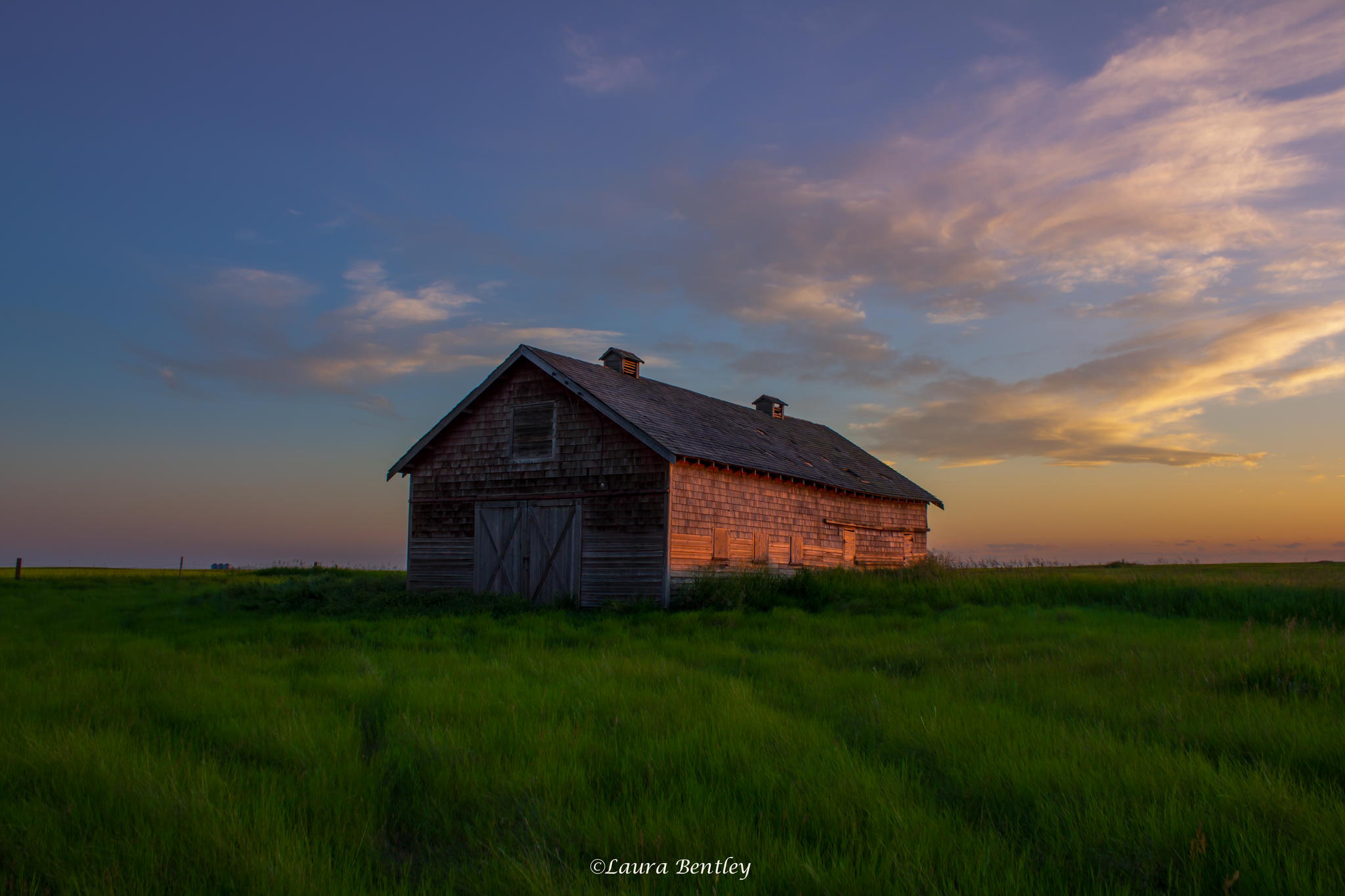 Prairie Pleasures by Laura Bentley