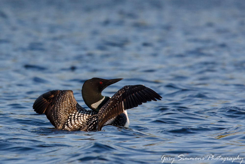 Spreading her Wings by Gary Simmons