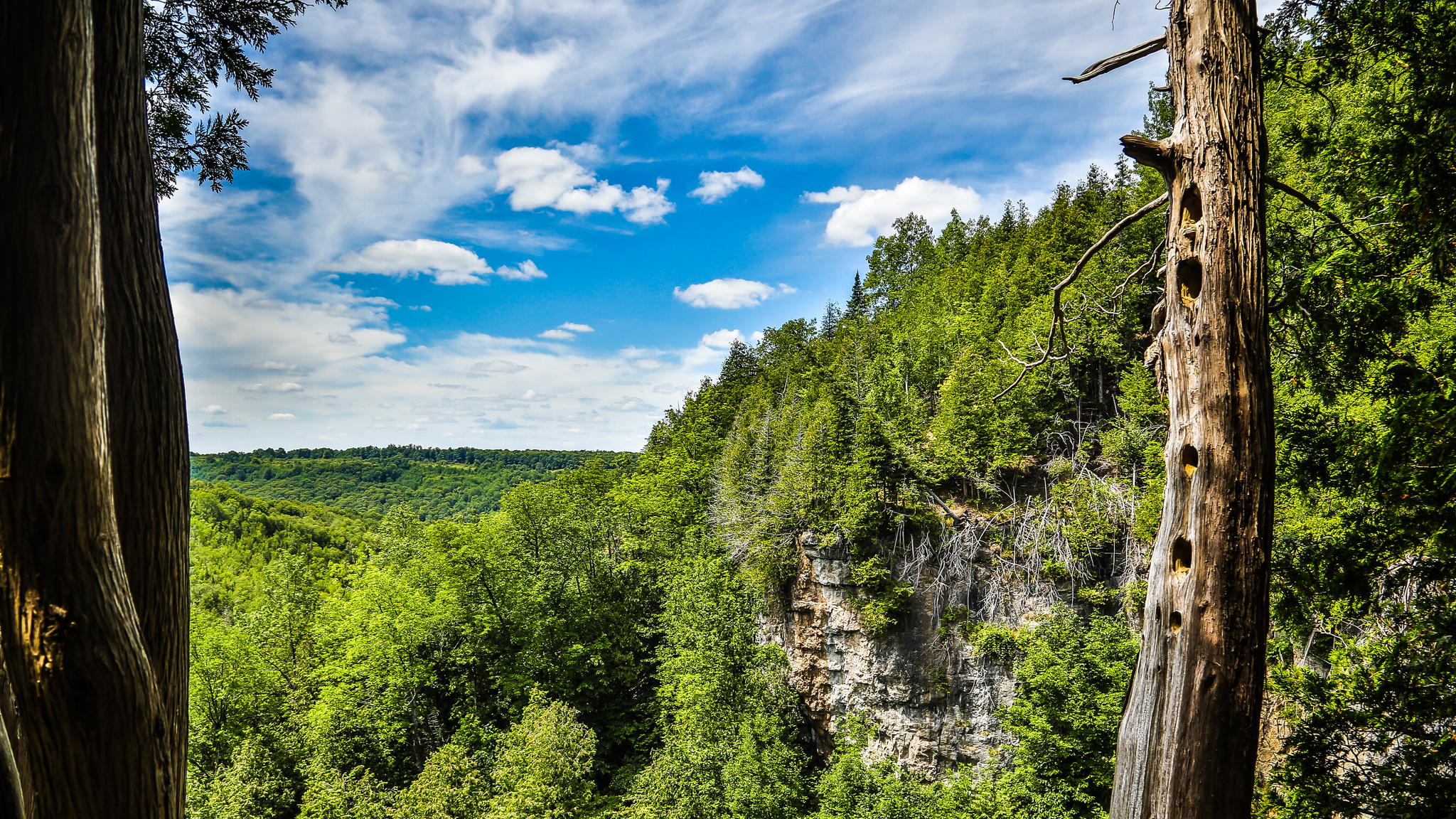 Eugenia Falls, Ontario by Amarpreet Kaur