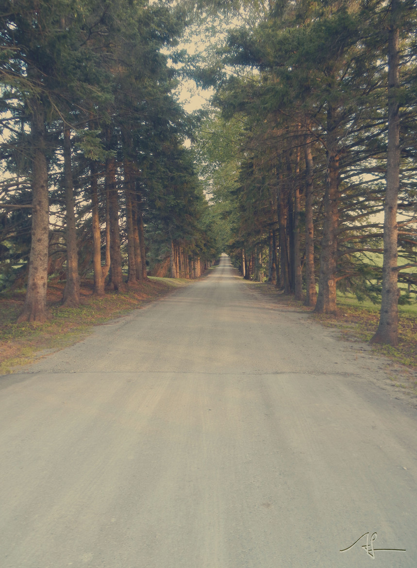 Long Dirt Road by Arizona Laneleve